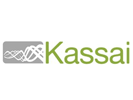 קידום אתר - Kassai.co.il
